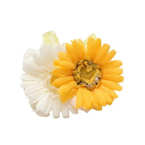 CanNana _uK[xob^{ sN CG[  ANZT[ t   S2F  ii LB-299