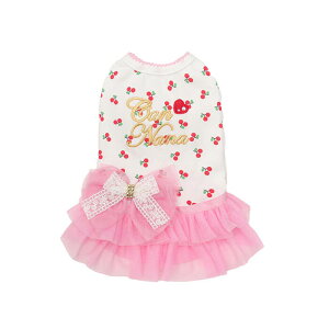 CanNana ڃJbg\[hbLOs[X ^ sN CG[ t   `F[ { [X  ii s 1156