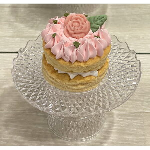 ymRIWiz sN̂ԔP[L Ⓚ SΉ Y pP[L  Y F j Cxg a LO