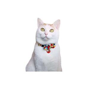 A[NX q J[ S / M S2F L  810048 Lp p Z[teB Z[teBobNt a ܁yCAT Amo.kz