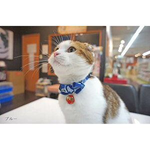 A[NX q J[ S / M S2F L  810048 Lp p Z[teB Z[teBobNt a ܁yCAT Amo.kz