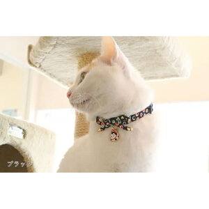 A[NX ܂ J[ S / M S2F L  810070 Lp p Z[teB Z[teBobNt a ܁yCAT Amo.kz