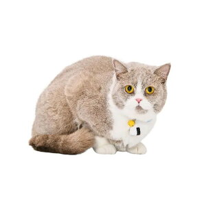 A[NX J-ONIGIRI J[ S / M S2F L  810155 Lp p Z[teB Z[teBobNt a ɂyCAT Amo.kz