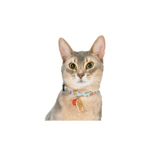 A[NX J-TAIYAKI J[ S / M S2F L  810202 Lp p Z[teB Z[teBobNt a Ă yCAT Amo.kz