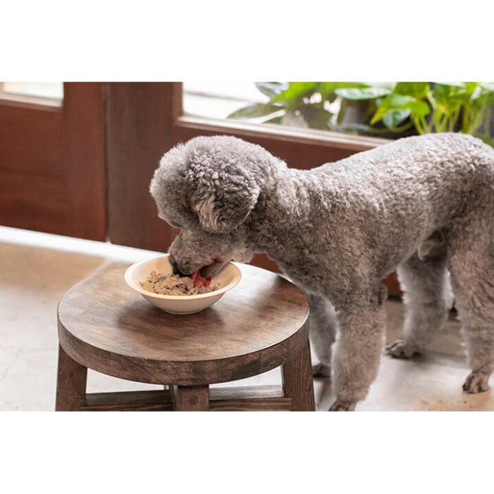 楽天市場】ノンコロオリジナル レトルト わんこのぶーごはん 100g 全犬 
