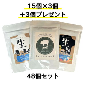 v[gtIyzyPURSUIT OF LOVE ×mRCtz߂߃LLZbg 炫/l/񂱂̂ԁ[͂e15Zbg v[gt S SNΉ Y 