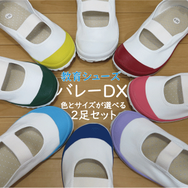 【生活応援価格DX！】上履き 教育バレーDX 2足セット　教育シューズ【送料無料】