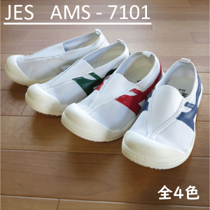 JES�@AMS�|7101�@4�F����I�ׂ�@�l�C�㗚��