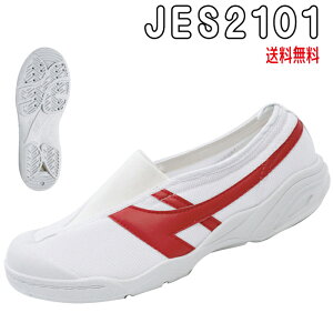 JES2101  㗚EC ċzV[Y
