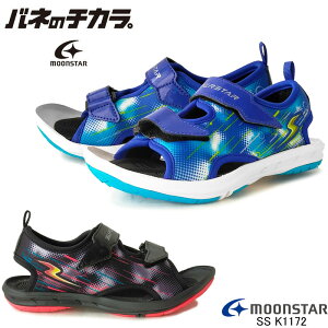 X[p[X^[ SS K1172 T_ [X^[ SUPERSTAR    AEghA w p[ol qC j̎q