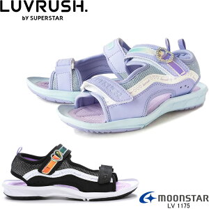 [X^[ ubV LV 1175 X|[cT_ }WbNe[v ubN p[v  WjA LbY qC