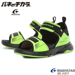 X[p[X^[ SS J1217 X|[cT_ [X^[ SUPERSTAR    AEghA w p[ol qC j̎q