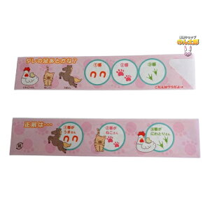 a[H@܁@ƃNCYV[Y@sN@5000y[J[EsEԎwsEAsz