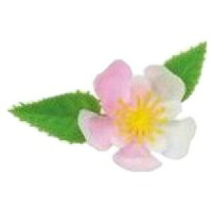 yԌP5{z ԁ@~j@DK-51@1000y񂹏iE[sz