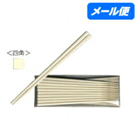 【全国送料無料】SPS製　リユース箸　21cm　四角(ベージュ)　10膳入【メール便・代引き不可・日時指定不可】