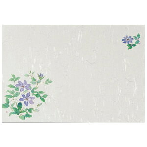 e[u}bg@T-113@N}`X(6)@100y񂹏iE[sz