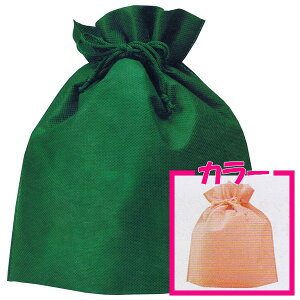 【送料無料】不織布巾着袋(大) 無地 アプリコット 250×280×底マチ80mm 50枚【メーカー直送・代引き不可・時間指定不可・沖縄、北海道、離島不可】