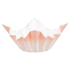 yԌP5{z @SKA-144@FaiFj@250×6(1500)y񂹏iE[sz