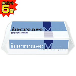 yԌP5{z CN[YM@ÐHiq@300X20܁i6000j