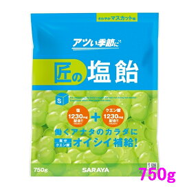 【数量限定】サラヤ　匠の塩飴　マスカット味　750g×10袋入●ケース販売お徳用【取り寄せ商品・即納不可】