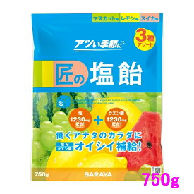 【数量限定】サラヤ　匠の塩飴　3種アソート(マスカット味・レモン味・スイカ味)　750g