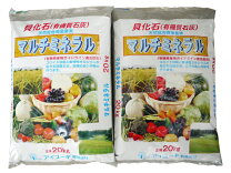 楽天市場】貝化石の通販