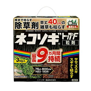 lR\MgbvF 3kg×6 1P[X
