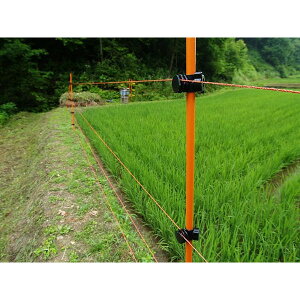 ϐ d bQpdC|[ IW 20×900mm Vq2t 25{Zbg