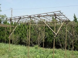 ʎIZbg ϐ t[cp[S KING^Cv