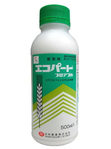 GRp[gtAu 500ml×10{Zbg