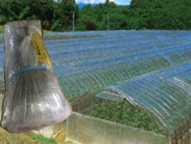 農業用ビニール 0.1mm×540cm×14.5m 透明/梨地 屋根用規格品 中接仕様