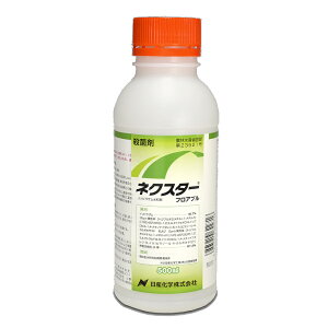 lNX^[tAu 500ml×20{Zbg