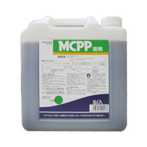MCPPt 5L×4{ P[X