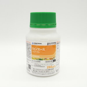 XsmG[XtAu 250ml×2{Zbg