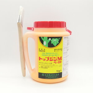 gbvWMy[Xg 1kg×12{Zbg