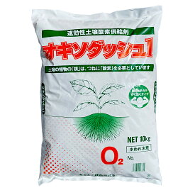 酸素供給剤 オキソダッシュ1 10kg×2袋セット
