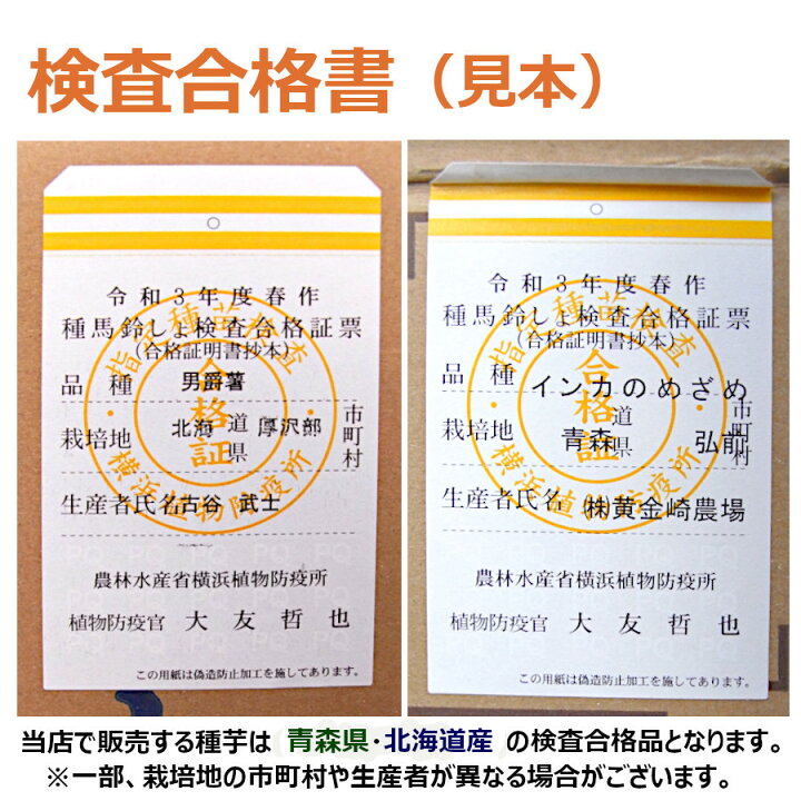 楽天市場】青森県産 種じゃがいも 種芋 アンデスレッド 10kg : 農援 楽天市場店 楽天市場】青森県産 種じゃがいも 種芋 アンデスレッド 10kg : 農援 楽天市場店