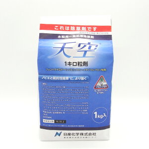V1L 1kg×12܃Zbg