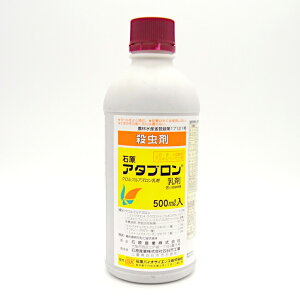 A^u 500ml×20{Zbg