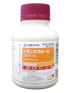 gXtH[tAu 250ml×10{Zbg