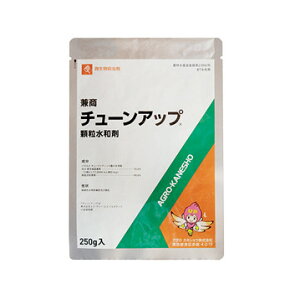`[Abva 250g×10܃Zbg