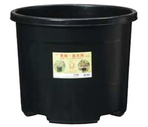 ylzszNP|bg #45  10