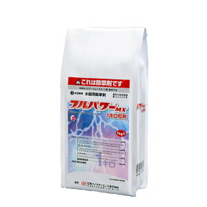 tp[MX1L 1kg×12܃Zbg