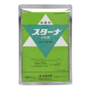 X^[ia 500g×20܃Zbg