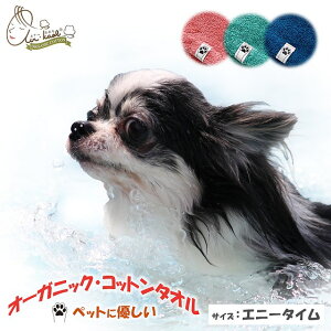 猫 洗濯 ネット ペットの人気商品 通販 価格比較 価格 Com