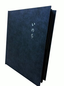 eAoS 2p ̂ e Ao ʐ^ V