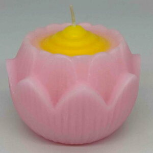 @ԃ[\NȂ@sN@@؁@ԔRā@~@E\N