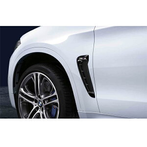 BMW X6 M F86TChEO EZbg