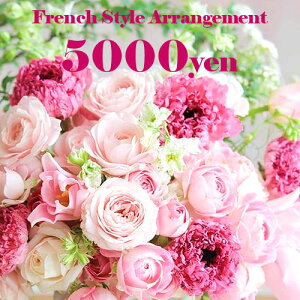 AWgut`oXPbg5000~vy a LO  zCgf[ ̓ ̓ hV̓ NX}X