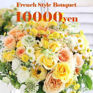 av[g ԑ  uu[Pԑ10000~vy a LO  zCgf[ ̓ ̓ hV̓ NX}X